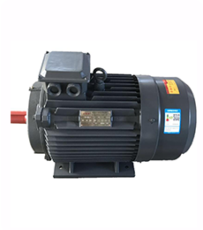 揚(yáng)子自主研發(fā)銅制電機(jī)